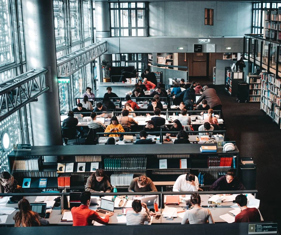 Competitive University Application Preparation